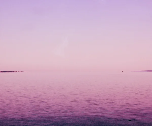 Rosa havet bakgrund — Stockfoto
