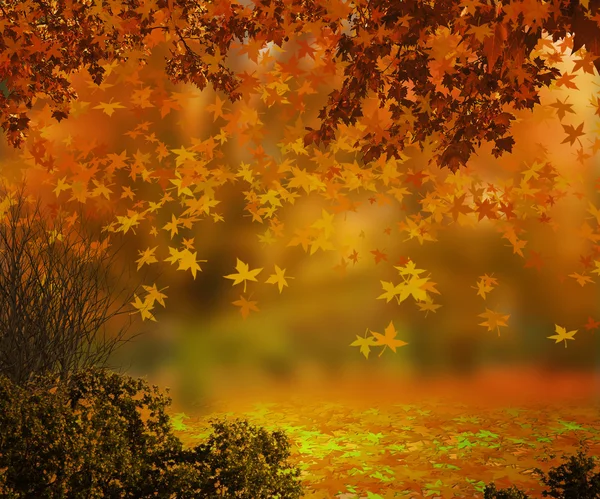 Autumn Background — Stock Photo, Image