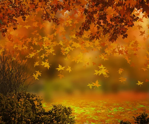 Jesieni w tle Obraz Stockowy