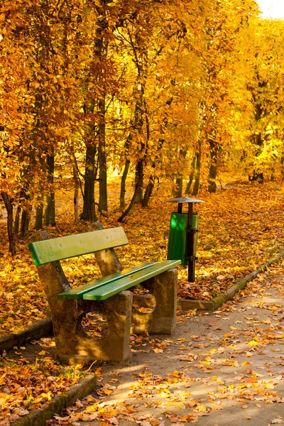 Lavička v parku na podzim — Stock fotografie