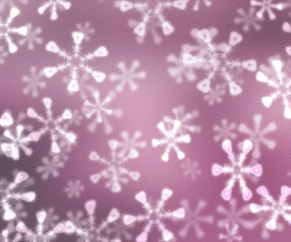 Snöiga lila — Stockfoto