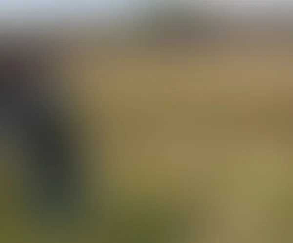 Blurry Backdrop — Stock Photo, Image