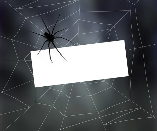 Бланк-знак в паутине пауков — стоковое фото