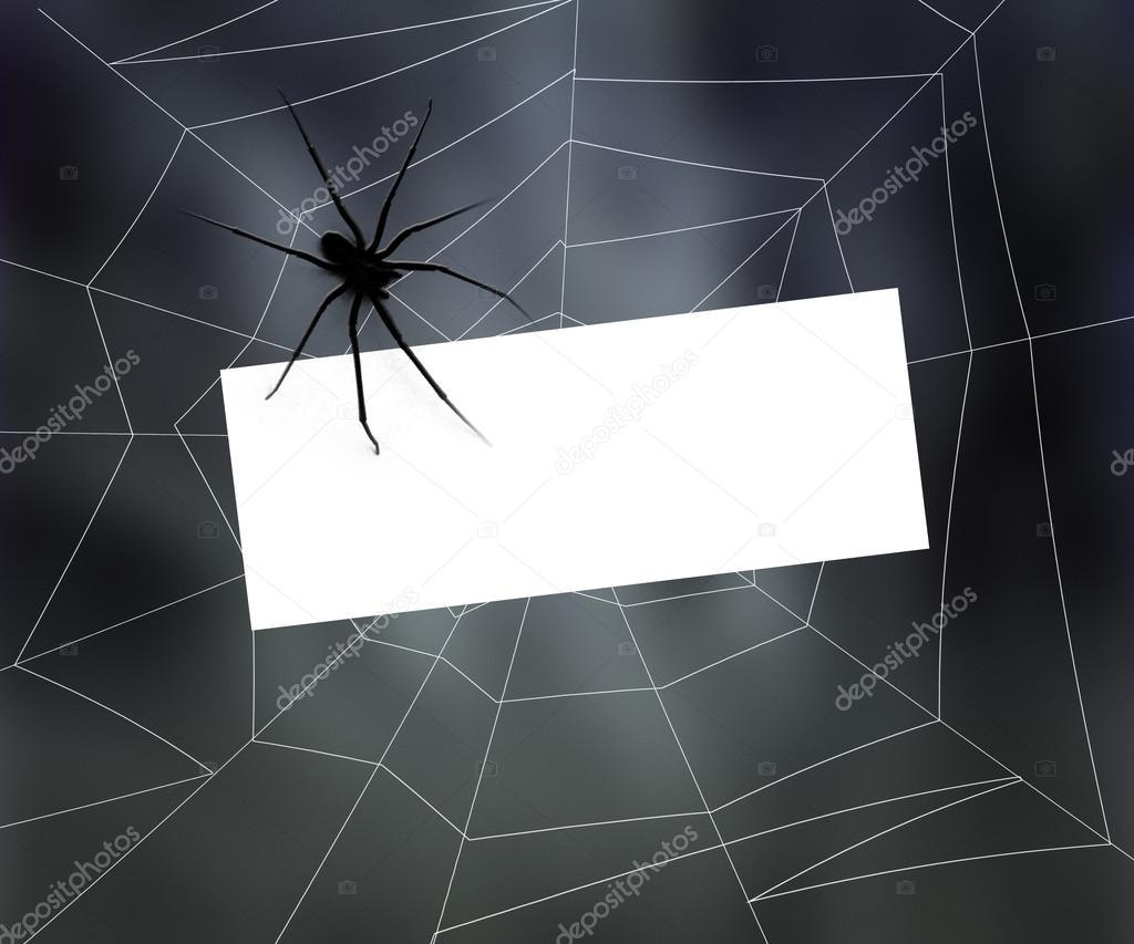 Blank Sign in Spider Web