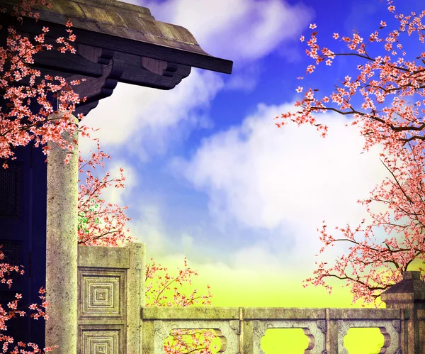 Balcón, árboles de sakura —  Fotos de Stock