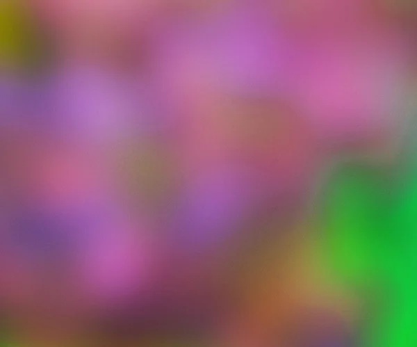 Pink Blure Backdrop — Stock Photo, Image