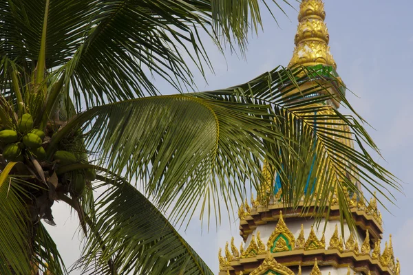 タイの壁紙写真 — ストック写真