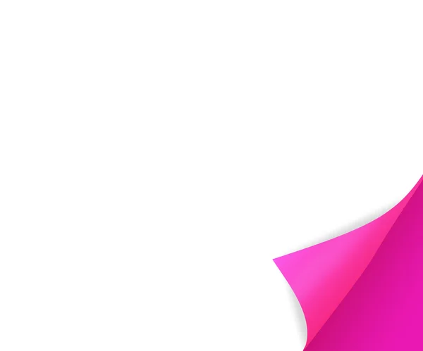 Angolo inferiore rosa — Foto Stock