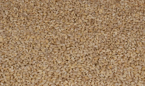 Pearl-barley as texture