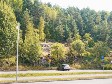 İsveç kayaları kozalaklı ağaçlarla kaplı