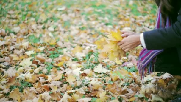 Fille recueille des feuilles jaunes en automne — Video