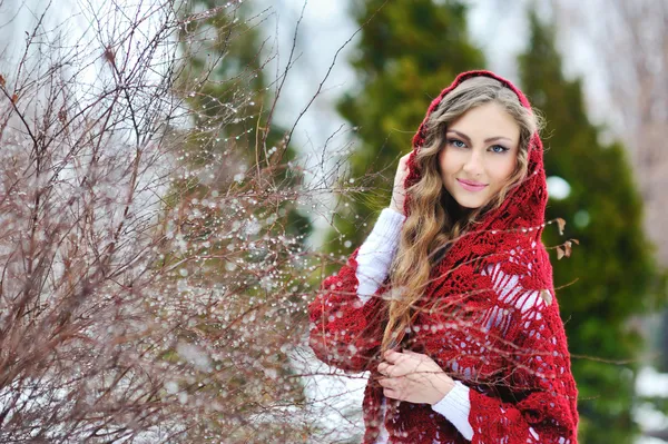 Menina sorridente feliz no inverno — Fotografia de Stock