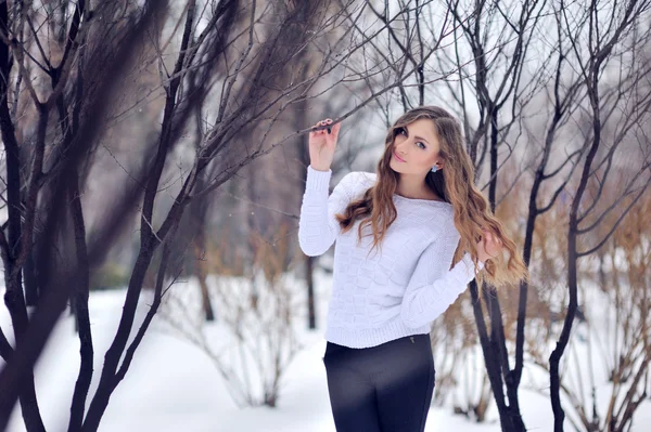 Mooi meisje in winter forest — Stockfoto