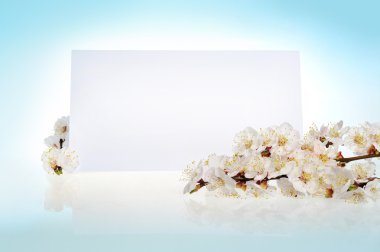 bahar çiçekleri ile metin için kart