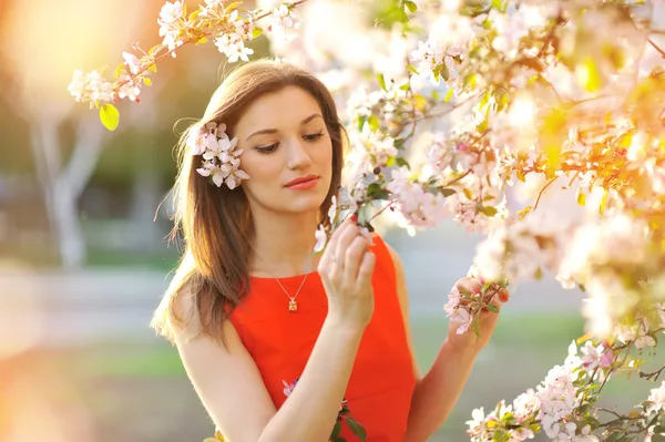 Porträtt vacker flicka på bakgrunden blommande träd — Stockfoto