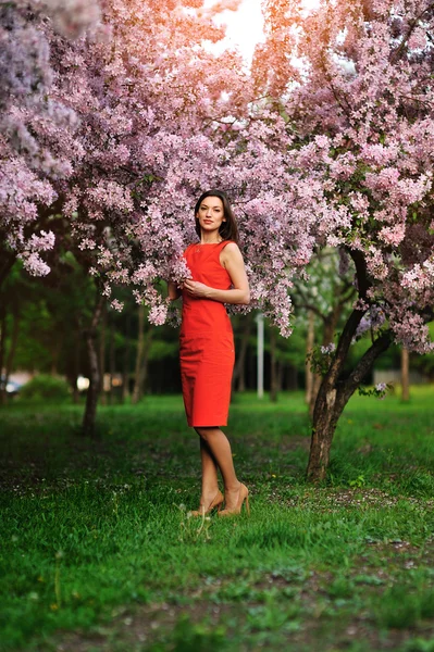 Mooie vrouw met witte bloeiende boom — Stockfoto