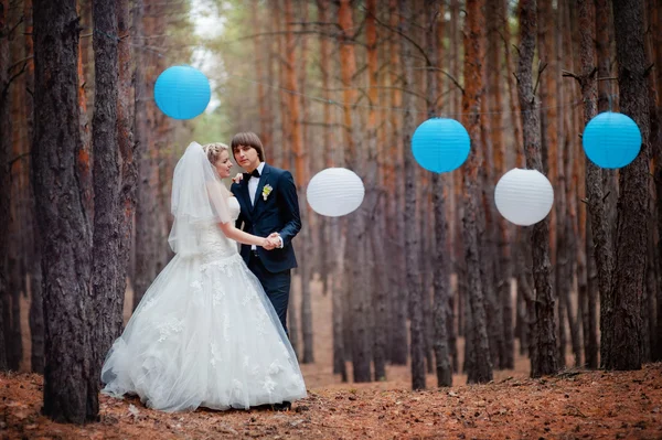 Bride and groom in a pine forest in autumn — Stock Photo, Image