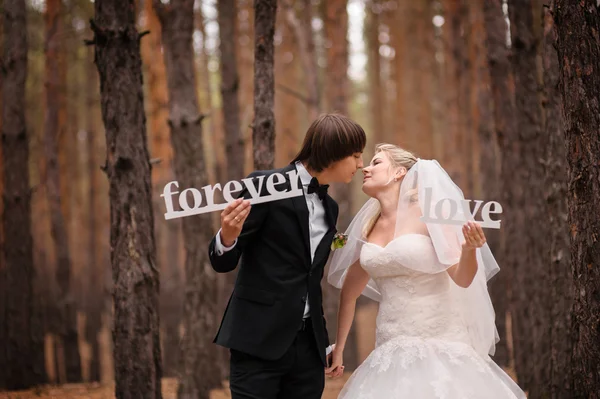 Bruden och brudgummen gå i höst tallskog — Stockfoto