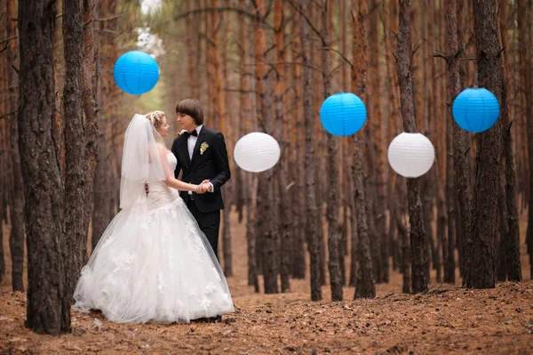 Bruden och brudgummen gå i höst tallskog — Stockfoto