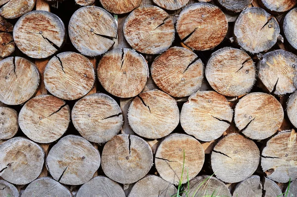 Ściany wykonane z drewna stosowego. tło — Zdjęcie stockowe