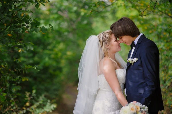 Bride and groom for a walk in the park — Stock Photo, Image