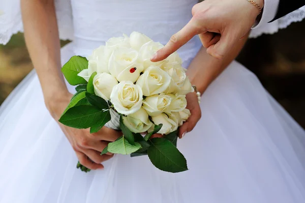 Beau bouquet de mariage entre les mains de la mariée — Photo