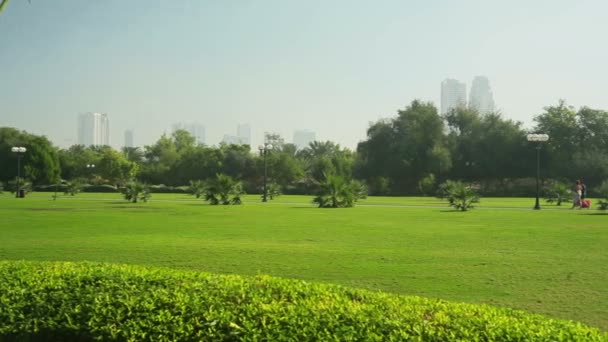 Jardín formal ajardinado. Parque — Vídeo de stock