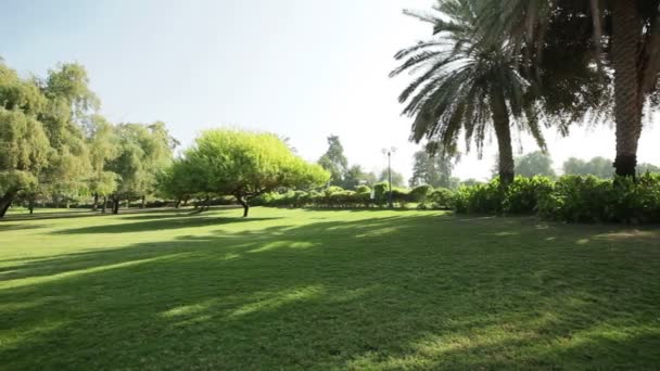 Jardín formal ajardinado. Parque — Vídeos de Stock