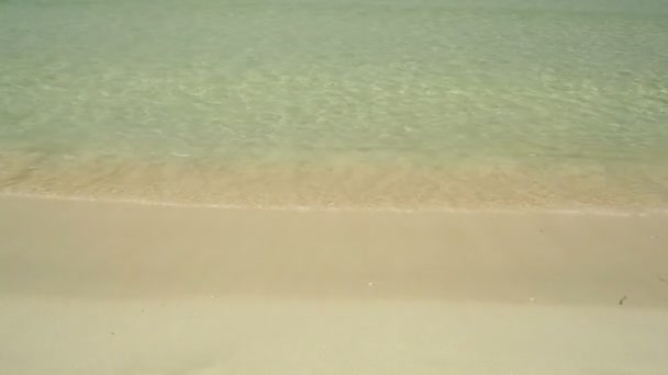 Beautiful beach and tropical sea — Stock Video