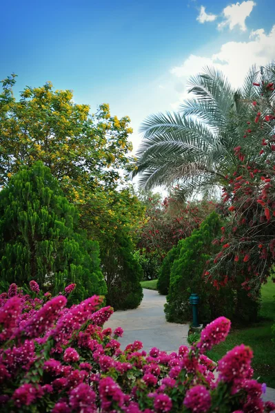 Green trees and flowers on a background of blue sky — Stock Photo, Image