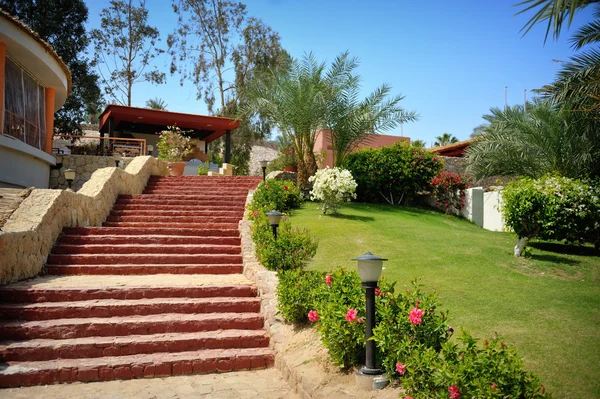 Каменная лестница в зеленом парке, окруженная красивыми цветами — стоковое фото