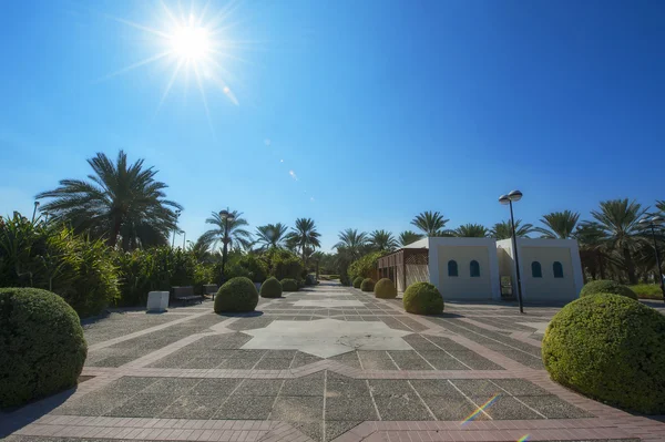 Beautifully manicured alley on the territory of the Egyptian hotel — Stock Photo, Image