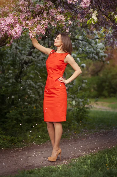 Красивая девушка в весеннем саду — стоковое фото