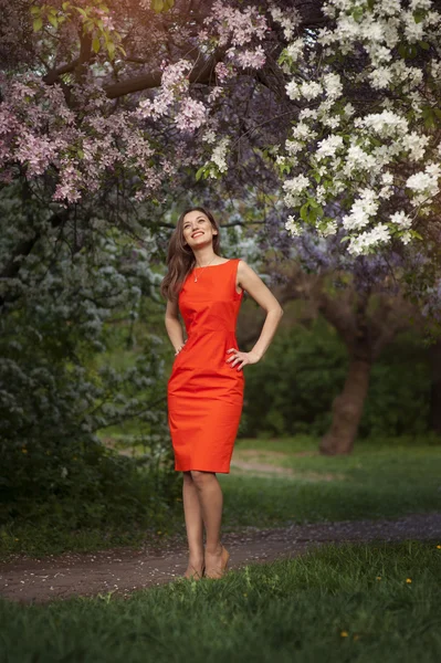 Ritratto di bella donna in piedi vicino all'albero fiorito — Foto Stock