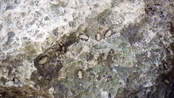 gris pierre texture fond