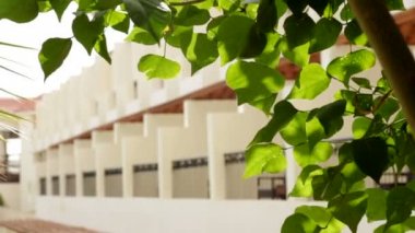 ağaçları ile Mısır'daki otel cephe