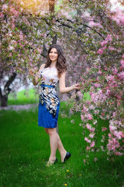 Vacker brunett flicka i den blomstrande trädgården — Stockfoto
