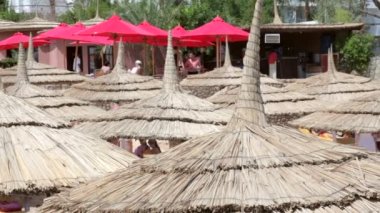 şemsiye ve tropikal bir plajda palmiye ağaçları