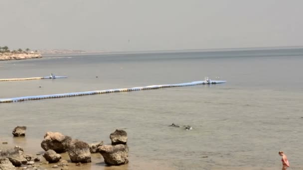 Vistas al mar y muelle de madera en la distancia — Vídeos de Stock