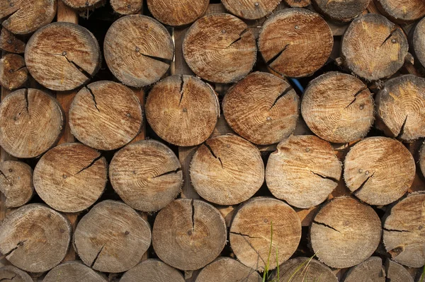 Tło suchych ciętych kłód drewna opałowego ułożonych na siebie na stosie — Zdjęcie stockowe