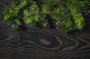 güzel arka plan ağaç dallarının Noel ve yılbaşı tebrik kartı