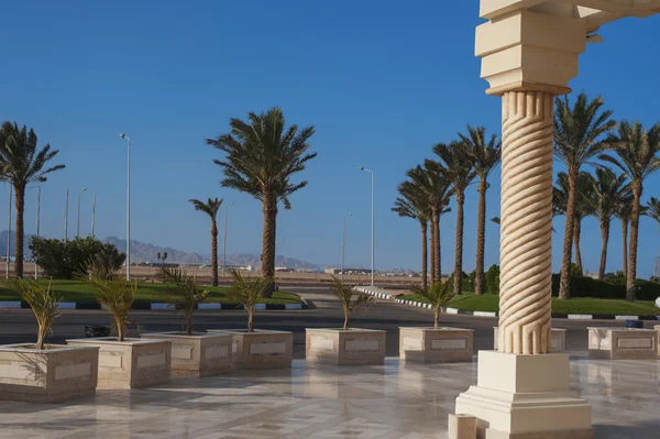 Schöne Marmorsäule auf einem Hintergrund von Palmen — Stockfoto