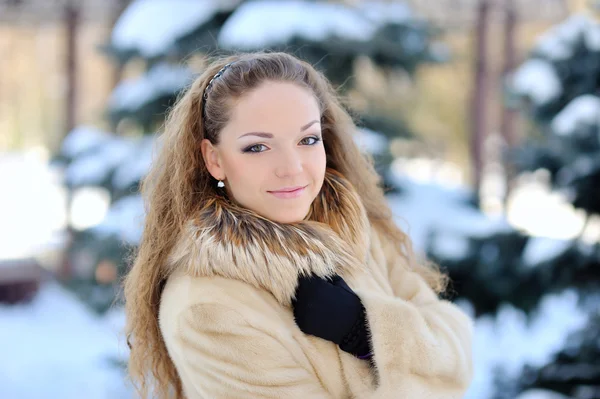 Attractive young woman in wintertime outdoor Stock Image