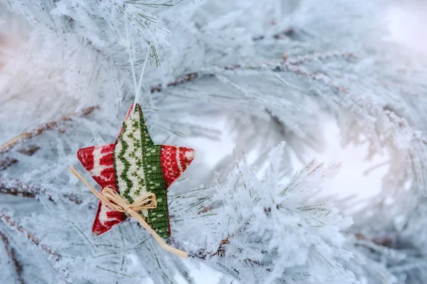 Рождественская звезда на снежной елке — стоковое фото