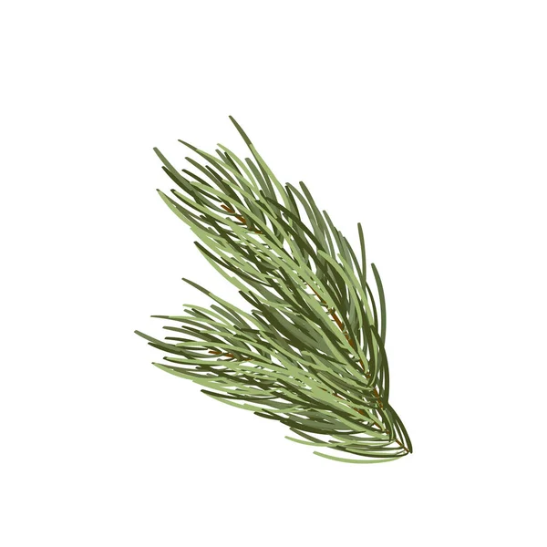 Χειροποίητο πράσινο κλαδί ερυθρελάτης. Στοιχείο χριστουγεννιάτικου δέντρου Απομονωμένο σε λευκή διανυσματική απεικόνιση. Χριστουγεννιάτικο διακοσμητικό σχέδιο σε ρετρό στυλ — Διανυσματικό Αρχείο