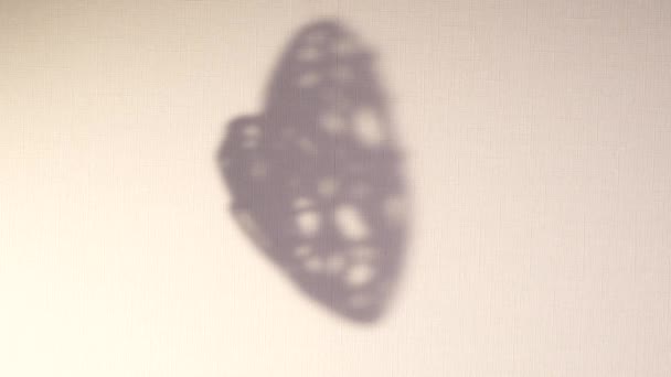 A silhueta abstrata gira o fundo de sombra do coração que cai na parede. Sombra embaçada transparente do brinquedo Valentine com lugar para texto. Imagens de vídeo 4k para sobreposição em pano de fundo e mockup — Vídeo de Stock