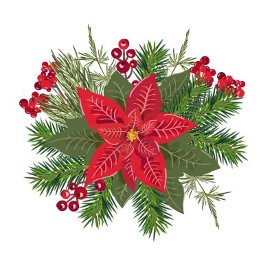 Vector Winter Poinsettia Noel Yıldızı çiçeği ve kırmızı böğürtlen. Web ve mobil uygulama tasarım biçimi çizimi beyaz arkaplanda izole edildi