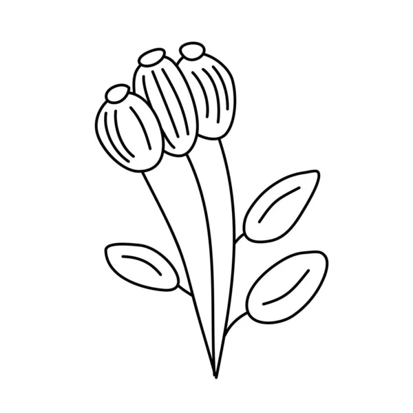 Vector Simple Botanical Illustration Three Flowers Line Artwork Minimal Design — Wektor stockowy