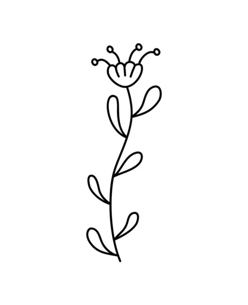 Vector Flores Simple Ilustración Botánica Obras Arte Línea Elementos Diseño — Vector de stock