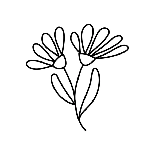 Vector Simple Botanical Illustration Two Flowers Line Artwork Minimal Design — 스톡 벡터